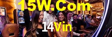 14Vin App Interface