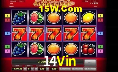 Segurança 2FA 14Vin