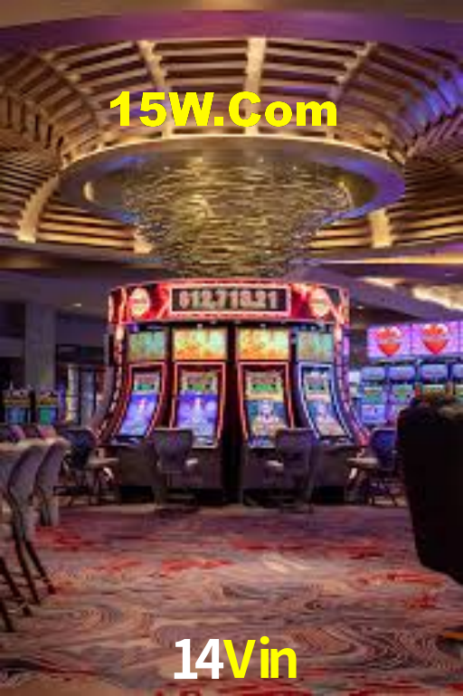 14Vin: A Experiência de Casino com Jogos de Mesa ao Vivo